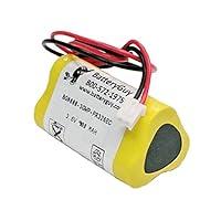 Algopix Similar Product 15 - BatteryGuy Nickel Cadmium Battery 36V