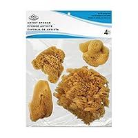 Algopix Similar Product 14 - ROYAL BRUSH Natural Ocean Artist