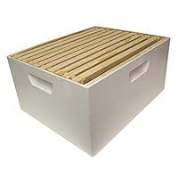 Algopix Similar Product 18 - Harvest Lane Honey WWBCD101 Deep Brood