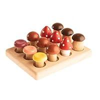 Algopix Similar Product 16 - The wooden Mushroom Glade Educational