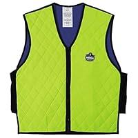 Algopix Similar Product 18 - Ergodyne unisex adult Embedded