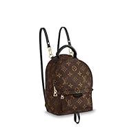 Algopix Similar Product 9 - Louis Vuitton Palm Springs Mini