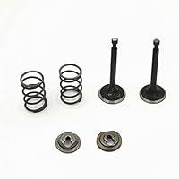 Algopix Similar Product 20 - Cancanle Intake Inlet Exhaust Valve