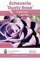 Algopix Similar Product 6 - Echeveria Dusty Rose Succulent