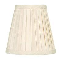 Algopix Similar Product 4 - Livex Lighting S316 Pleat Empire Silk