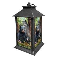 Algopix Similar Product 13 - Black Bear Family Everyday Lantern