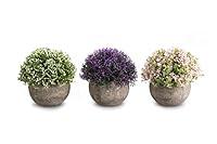 Algopix Similar Product 6 - Opps Mini Artificial Plants Plastic