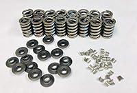 Algopix Similar Product 9 - Elgin Z28 Style Valve Springs