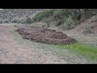 Algopix Similar Product 9 - Flash Flood Flows Down Road
