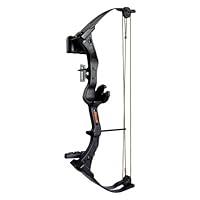 Algopix Similar Product 10 - Bear Archery Right Hand Brave 3 Bow Set
