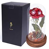 Algopix Similar Product 7 - sexyrobot Beauty and the Beast Red