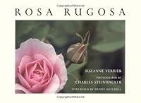 Algopix Similar Product 10 - Rosa Rugosa