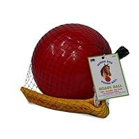 Algopix Similar Product 19 - Mini Horse Ball