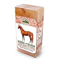 Algopix Similar Product 18 - Himalayan Nature Horse Licking Salt