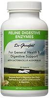 Algopix Similar Product 16 - Dr. Goodpet Feline Digestive Enzymes