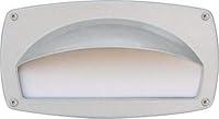 Algopix Similar Product 4 - Dabmar Lighting DSL1014W Hooded Incand