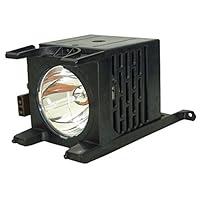 Algopix Similar Product 19 - Toshiba Replacement Lamp with Housing