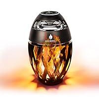 Algopix Similar Product 15 - ANERIMST Outdoor Torch Bluetooth