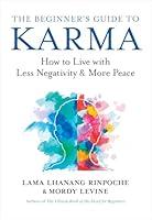 Algopix Similar Product 11 - The Beginners Guide to Karma How to