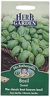 Algopix Similar Product 16 - Mr Fothergills Seeds Basil Sweet