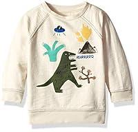 Algopix Similar Product 5 - Gymboree Baby Boys Long Sleeve Pullover