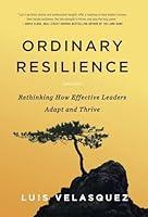 Algopix Similar Product 5 - Ordinary Resilience Rethinking How