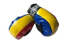 Algopix Similar Product 9 - Flag Mini Small Boxing Gloves to Hang