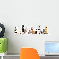 Algopix Similar Product 8 - Group Sitting Cats and Wall Decal