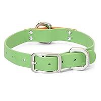 Algopix Similar Product 4 - WEST PAW Jaunts Dog Collar Small