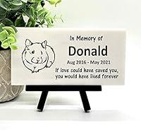 Algopix Similar Product 19 - Guinea Pig Memorial Stone  Memory