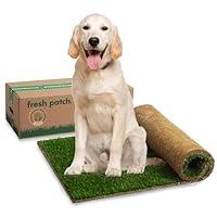 Algopix Similar Product 6 - Fresh Patch Real Grass Patch for Dogs