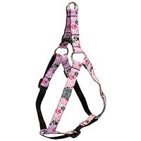 Algopix Similar Product 4 - RC Pet Products 34Inch Step in Dog