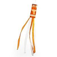 Algopix Similar Product 11 - TEXAS LONGHORNS WIND SOCKS SET OF 2
