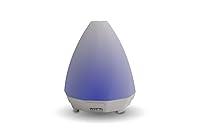 Algopix Similar Product 8 - WITTI  ROSSI  Stylish Diffuser with