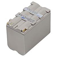 Algopix Similar Product 15 - CAM-F950P Replacement Battery