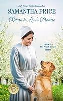 Algopix Similar Product 17 - Return to Loves Promise Amish Romance