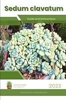 Algopix Similar Product 19 - Sedum clavatum Succulent Handbook