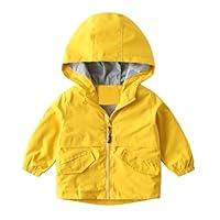 Algopix Similar Product 8 - Mustard Yellow Boy Girl Warehouse Sale