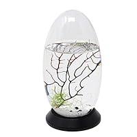Algopix Similar Product 1 - EcoSphere Closed Aquatic Ecosystem