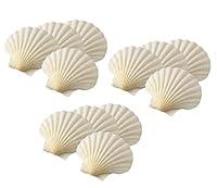 Algopix Similar Product 3 - Maine Man Baking Shells 4 Inch Set of