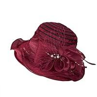 Algopix Similar Product 8 - Jazzor Big Hats for Women Fascinators