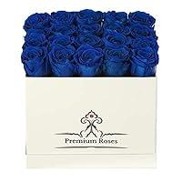 Algopix Similar Product 5 - Premium Roses  Flowers for Delivery