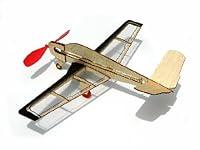 Algopix Similar Product 19 - Guillow's V-Tail Model Kit