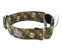 Algopix Similar Product 13 - RC Pet Products 112Inch All Webbing