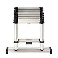 Algopix Similar Product 7 - Telesteps 12ES Telescoping Ladder