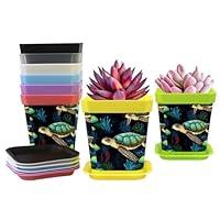 Algopix Similar Product 15 - HemaKayy Small Plant Pots 8 Pack