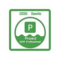 Algopix Similar Product 16 - Project Professional Project Management