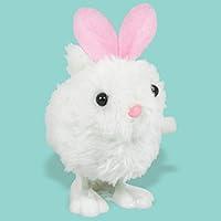 Algopix Similar Product 11 - Eggstra Cute Plush WindUp Easter