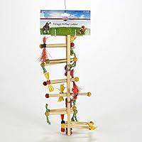 Algopix Similar Product 8 - Kaytee Avian Challenge Ladder Medium