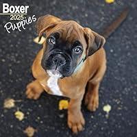 Algopix Similar Product 18 - Boxer Puppies Calendar 2025  Square